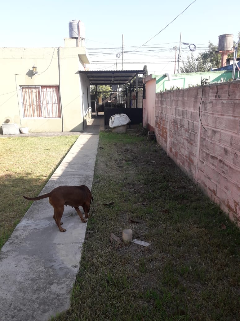 2 Habitaciones Habitaciones, 4 Habitaciones Habitaciones,2 BathroomsBathrooms,Casa,Venta,1417